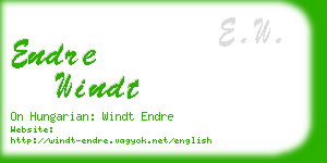 endre windt business card